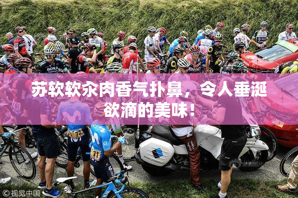 苏软软汆肉香气扑鼻，令人垂涎欲滴的美味！