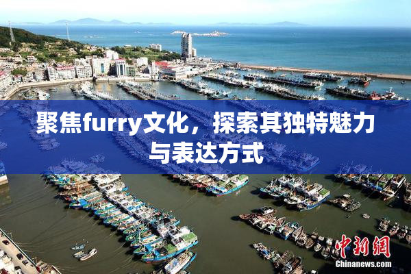 聚焦furry文化，探索其独特魅力与表达方式
