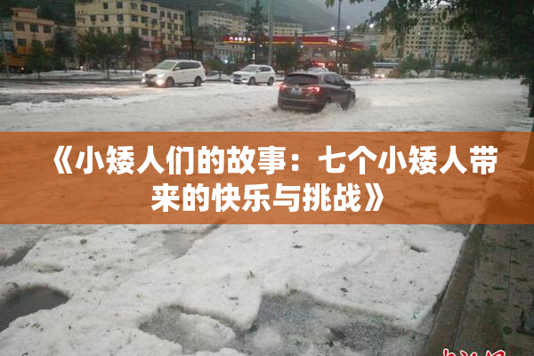 《小矮人们的故事：七个小矮人带来的快乐与挑战》