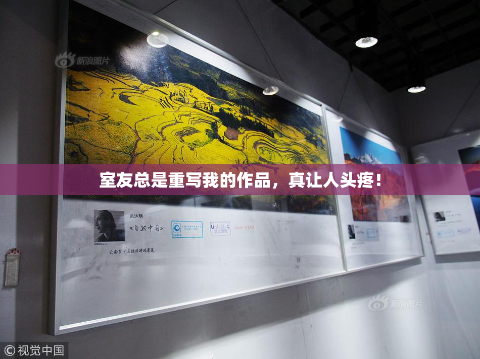 室友总是重写我的作品，真让人头疼！