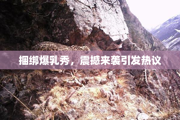 捆绑爆乳秀，震撼来袭引发热议