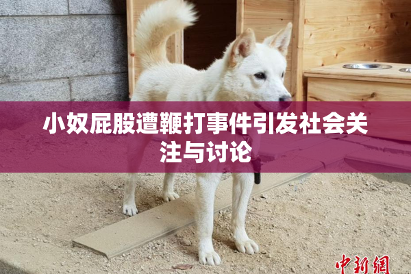 小奴屁股遭鞭打事件引发社会关注与讨论