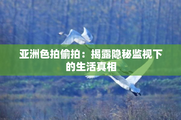 亚洲色拍偷拍：揭露隐秘监视下的生活真相