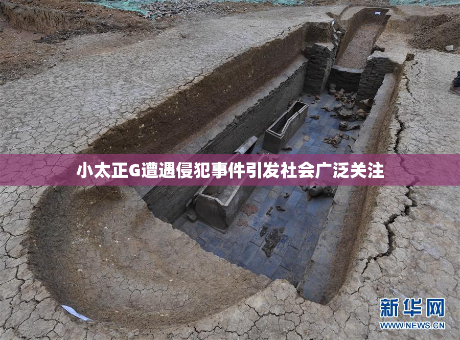 小太正G遭遇侵犯事件引发社会广泛关注