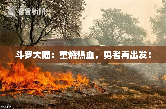 斗罗大陆：重燃热血，勇者再出发！