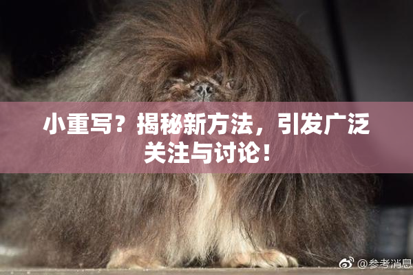小重写？揭秘新方法，引发广泛关注与讨论！