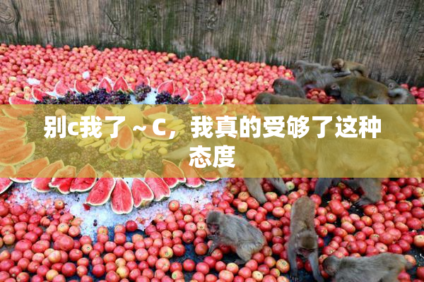 别c我了～C，我真的受够了这种态度