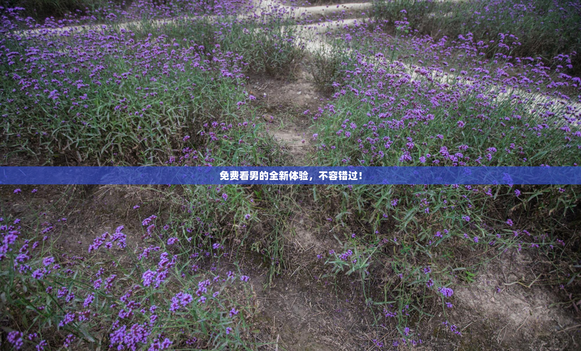 免费看男的全新体验，不容错过！