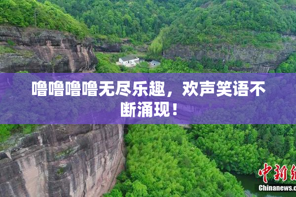 噜噜噜噜无尽乐趣，欢声笑语不断涌现！