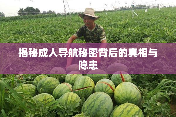 揭秘成人导航秘密背后的真相与隐患