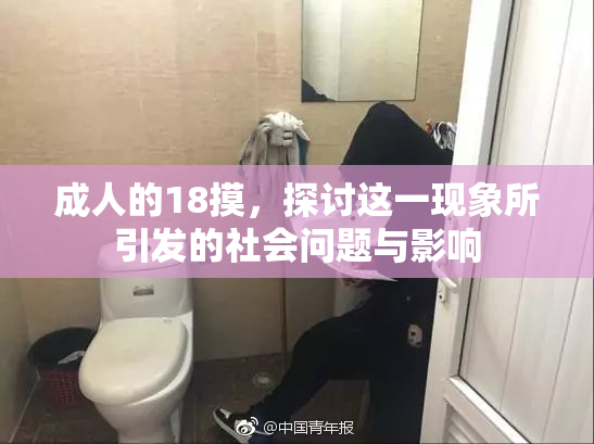 成人的18摸，探讨这一现象所引发的社会问题与影响