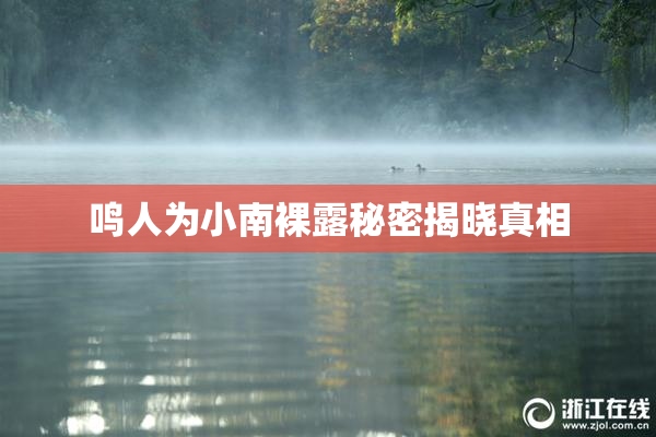 鸣人为小南裸露秘密揭晓真相