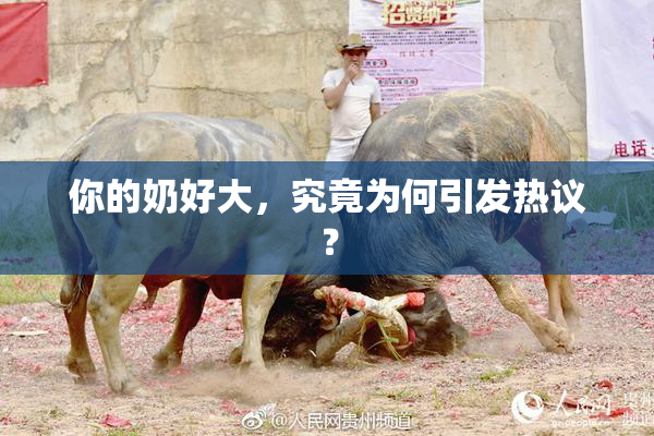 你的奶好大，究竟为何引发热议？