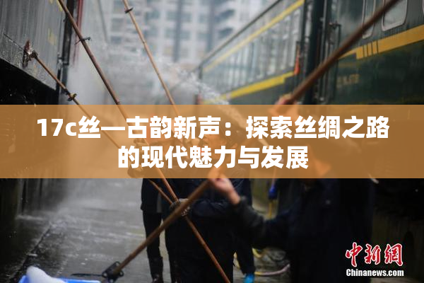 17c丝—古韵新声：探索丝绸之路的现代魅力与发展