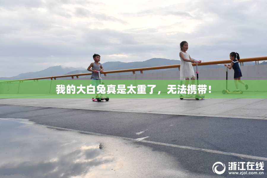 我的大白兔真是太重了，无法携带！