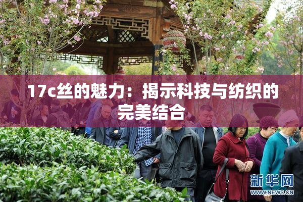 17c丝的魅力：揭示科技与纺织的完美结合