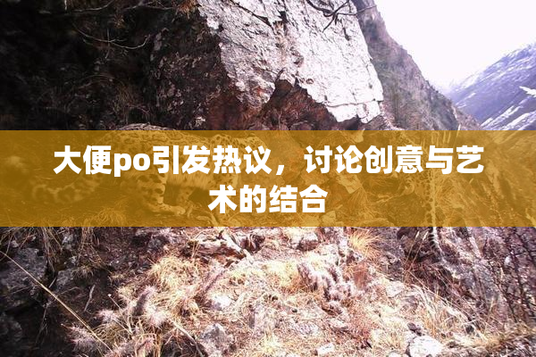 大便po引发热议，讨论创意与艺术的结合