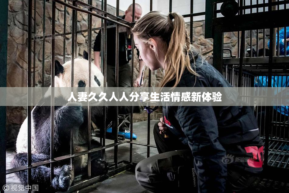 人妻久久人人分享生活情感新体验