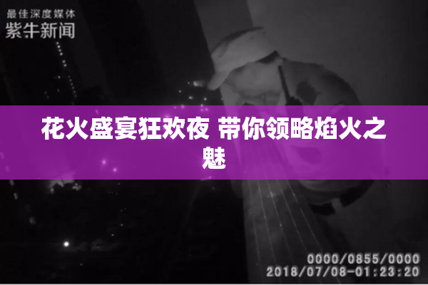 花火盛宴狂欢夜 带你领略焰火之魅