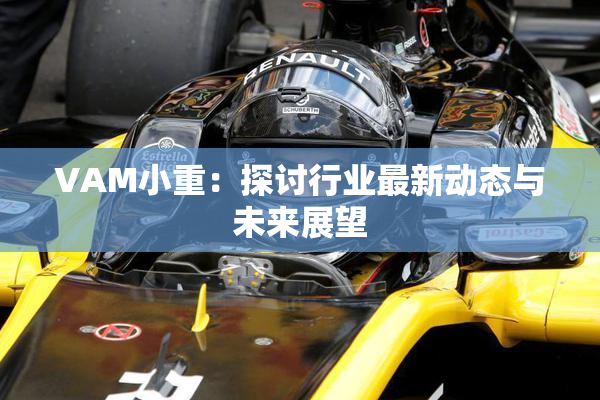VAM小重：探讨行业最新动态与未来展望