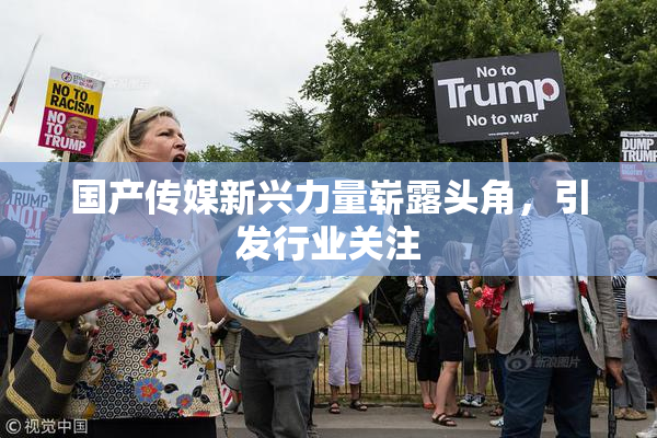 国产传媒新兴力量崭露头角，引发行业关注