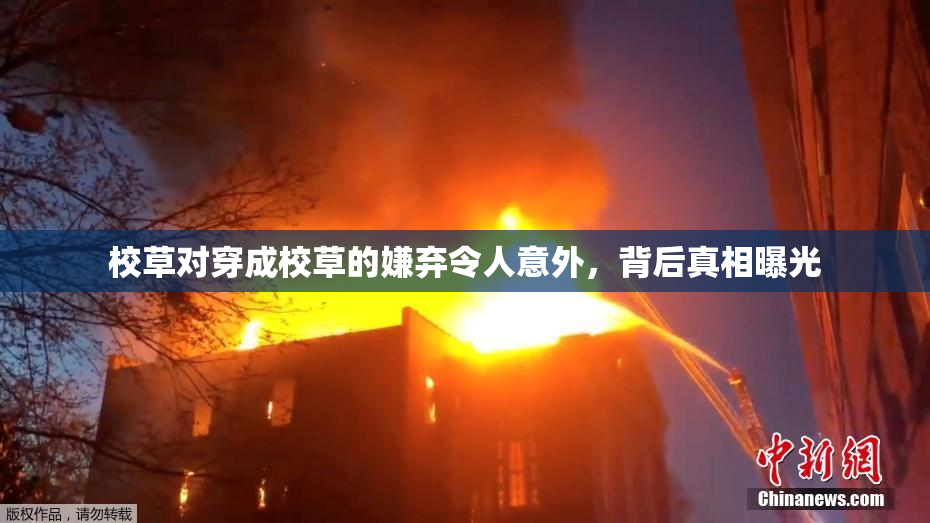 校草对穿成校草的嫌弃令人意外，背后真相曝光