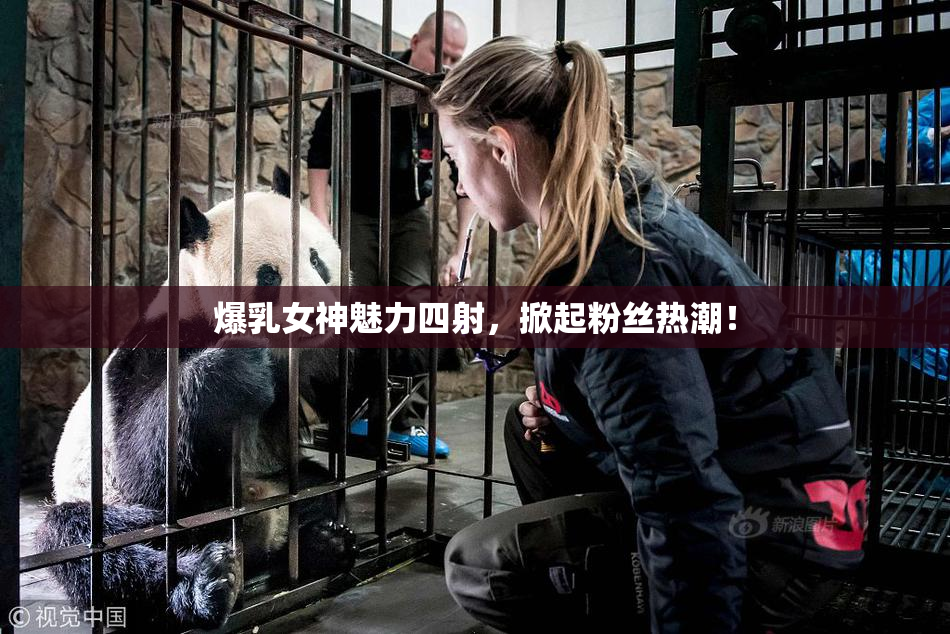 爆乳女神魅力四射，掀起粉丝热潮！