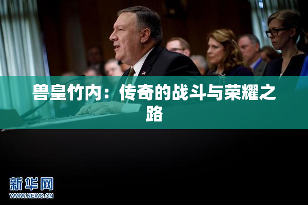 兽皇竹内：传奇的战斗与荣耀之路