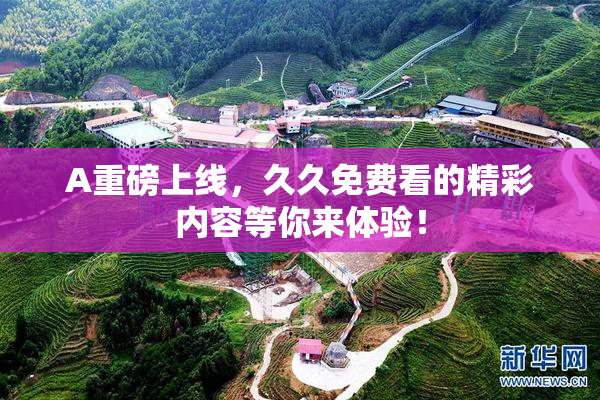 A重磅上线，久久免费看的精彩内容等你来体验！
