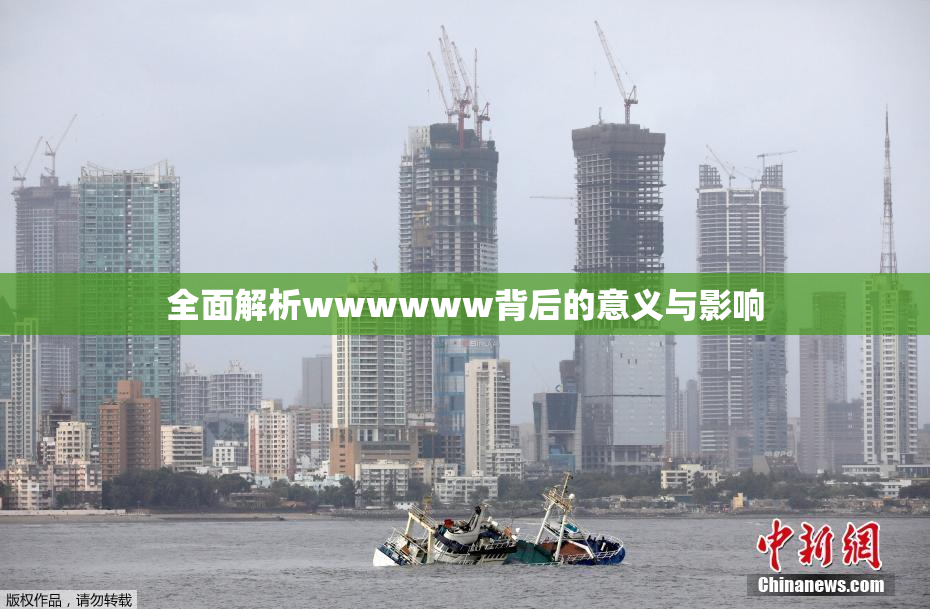 全面解析wwwwww背后的意义与影响