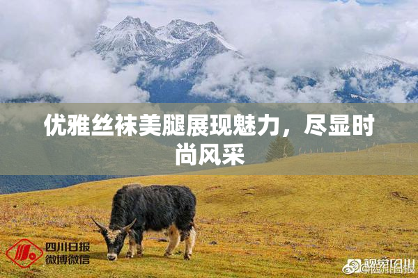 优雅丝袜美腿展现魅力，尽显时尚风采