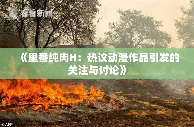 《里番纯肉H：热议动漫作品引发的关注与讨论》