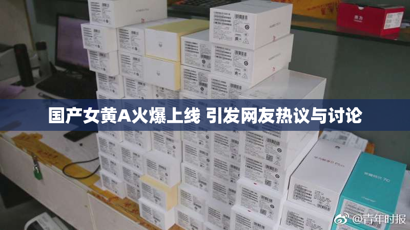 国产女黄A火爆上线 引发网友热议与讨论