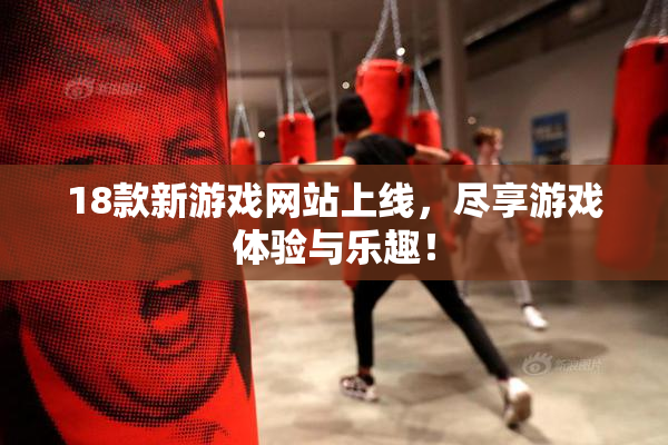 18款新游戏网站上线，尽享游戏体验与乐趣！