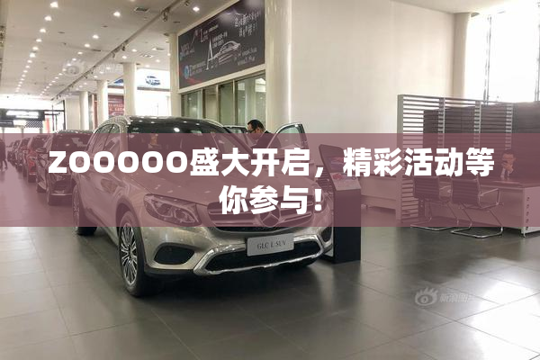 ZOOOOO盛大开启，精彩活动等你参与！