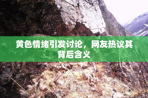 黄色情绪引发讨论，网友热议其背后含义