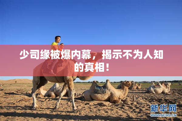 少司缘被爆内幕，揭示不为人知的真相！
