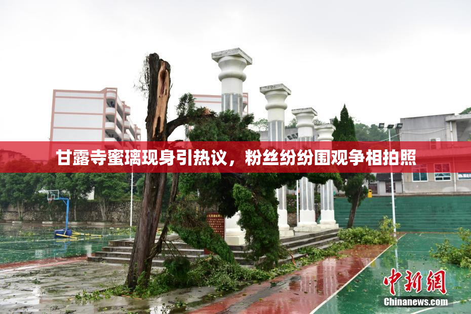 甘露寺蜜璃现身引热议，粉丝纷纷围观争相拍照