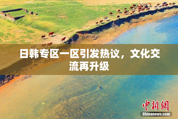 日韩专区一区引发热议，文化交流再升级