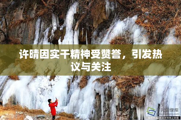 许晴因实干精神受赞誉，引发热议与关注