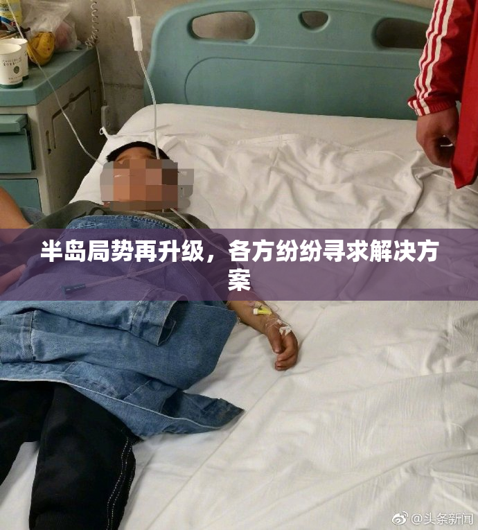 半岛局势再升级，各方纷纷寻求解决方案