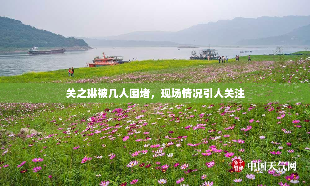 关之琳被几人围堵，现场情况引人关注