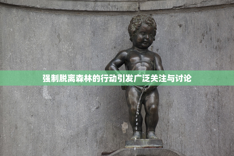 强制脱离森林的行动引发广泛关注与讨论
