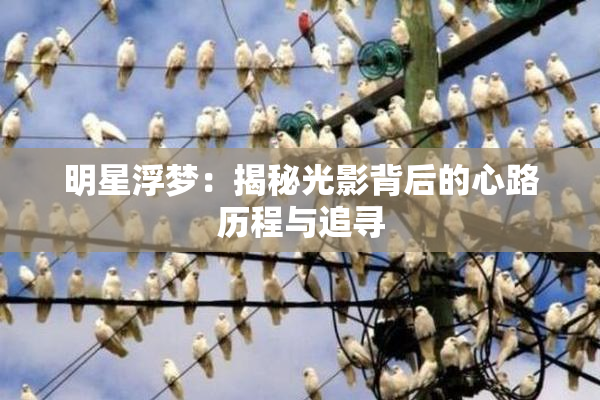 明星浮梦：揭秘光影背后的心路历程与追寻