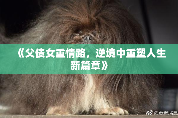 《父债女重情路，逆境中重塑人生新篇章》