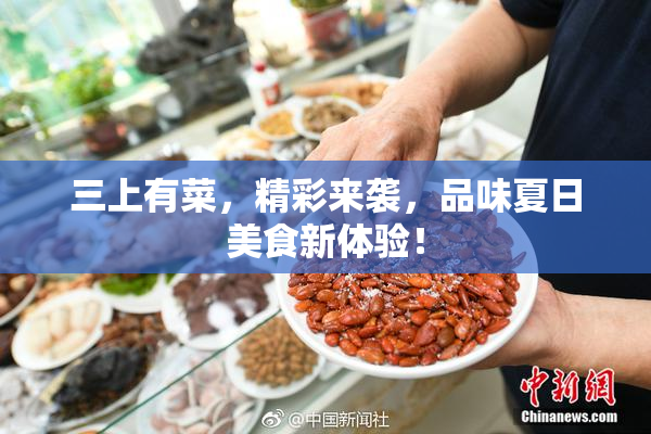 三上有菜，精彩来袭，品味夏日美食新体验！
