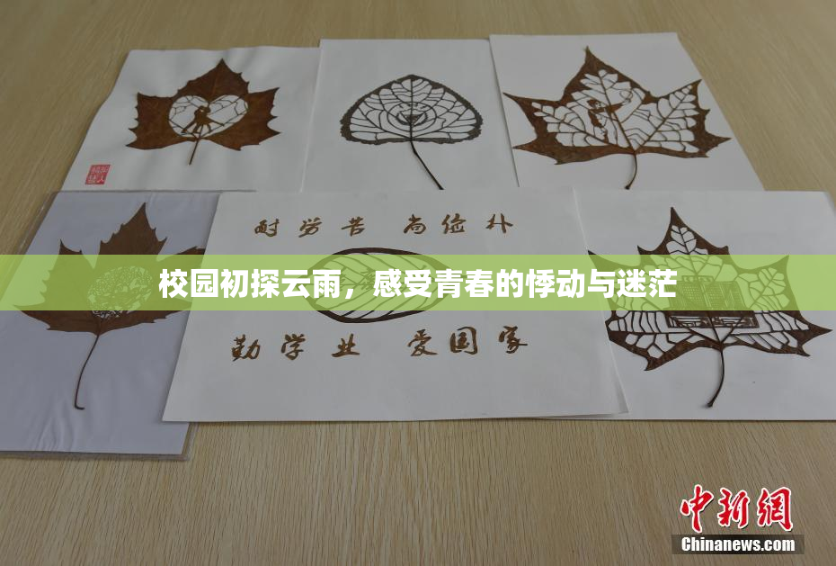 校园初探云雨，感受青春的悸动与迷茫