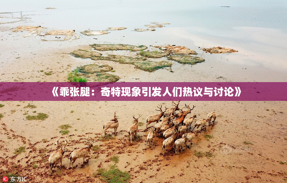 《乖张腿：奇特现象引发人们热议与讨论》