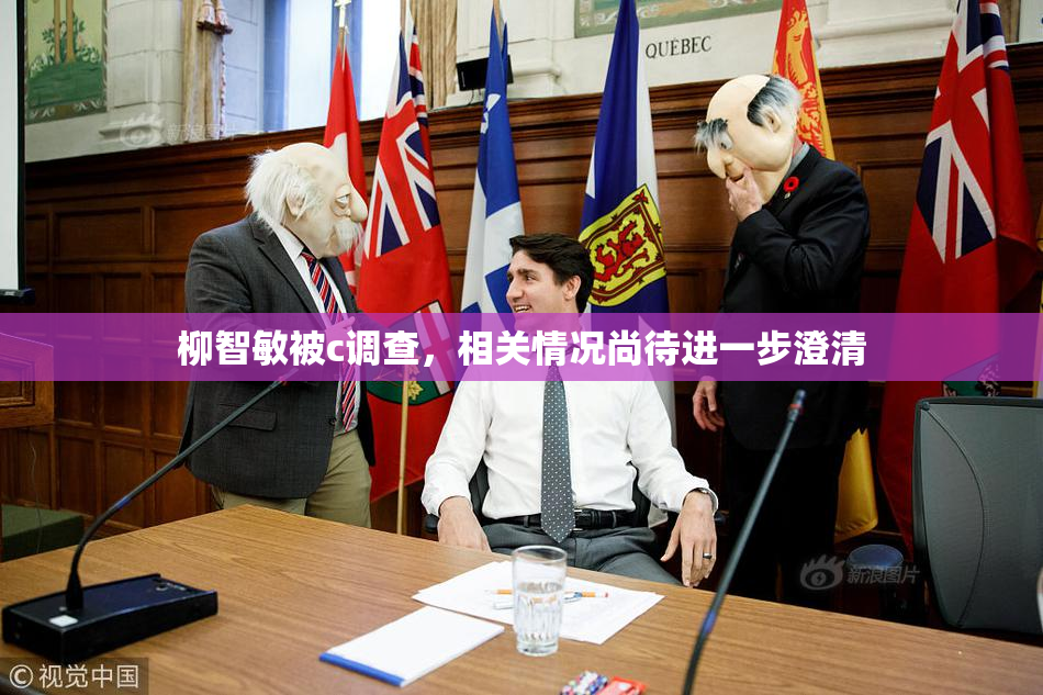 柳智敏被c调查，相关情况尚待进一步澄清
