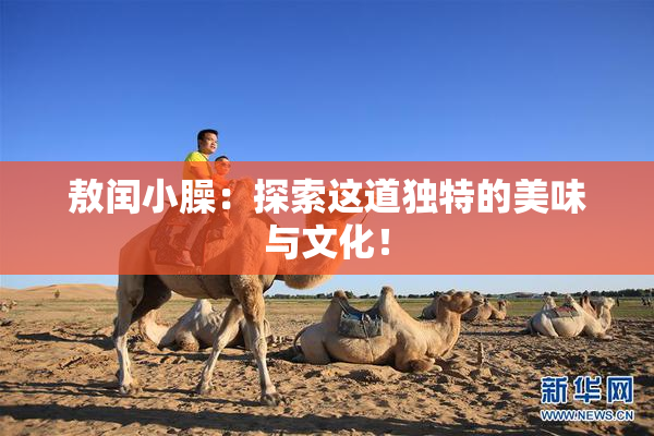 敖闰小臊：探索这道独特的美味与文化！